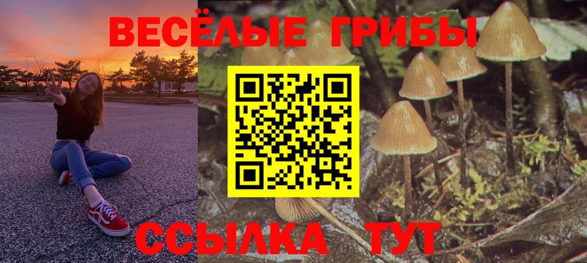 A PVP Новокубанск