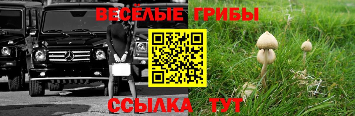 Галлюциногенные грибы ЛСД Новокубанск